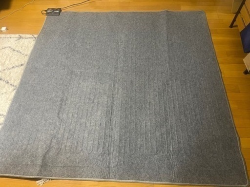ホットカーペット2畳用176×176cm