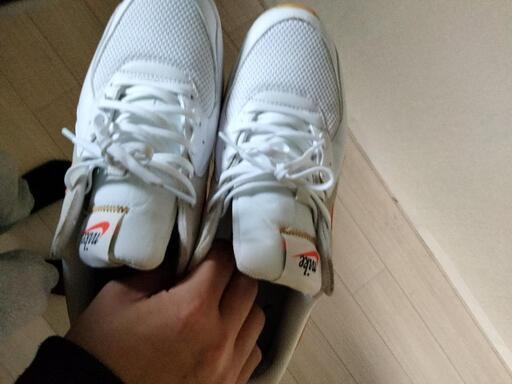 NIKE　エアマックス　28.5cm