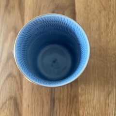 コップ　グラス　虎の画像