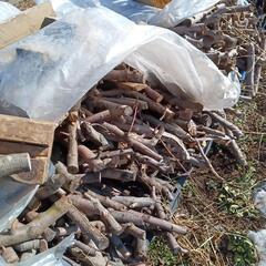 ★　リンゴ小枝　薪ストーブ　乾燥薪　キャンプ薪　５０キロ単位　3500円の画像