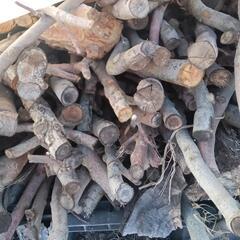 ★　リンゴ小枝　薪ストーブ　乾燥薪　キャンプ薪　５０キロ単位　3500円の画像