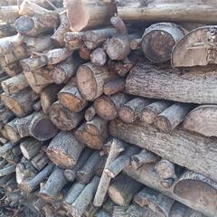 ★　ストーブ薪　クルミなど　軽い広葉樹   １００キロ単位で　の画像