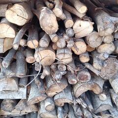 ★　ストーブ薪　クルミなど　軽い広葉樹   １００キロ単位で　の画像