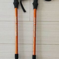 登山用ストック ペア