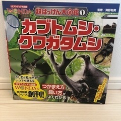 美品　本　カブトムシクワガタムシ
