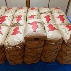 【黒酢米】【新米】千葉県野田市産コシヒカリ30kg
