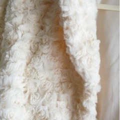 パーティー系ボレロの画像