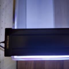 40cm水槽セット【中古・アクアリウム・引き取り】の画像