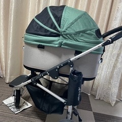 [受け渡し予定者あり]エアバギー DOME3 美品