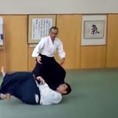 心身統一合氣道　大阪八尾教室　☆☆無料体験☆☆の画像