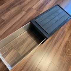 fits衣装ケースの画像