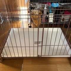 ペットケージ、犬用トイレお譲りします。