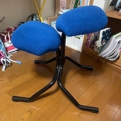 バランスチェアの画像