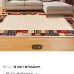 ニトリ ウォルトン織りラグの画像