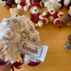 Harrods イアーベア/クリスマスベアの画像