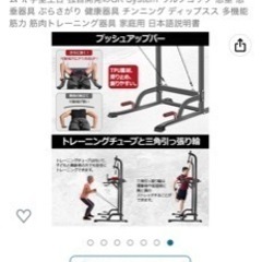 Wolf Fokの懸垂器具です