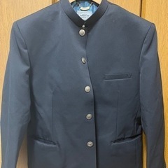 学生服　標準学生服ではありません　セミ短