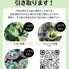 植物買取り【関東】