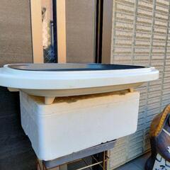東芝　ホットプレートの画像