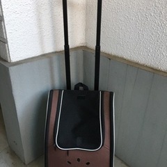 犬用グッズの画像