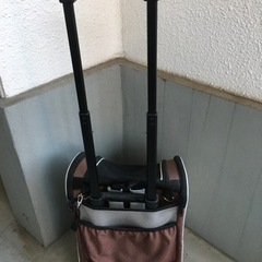 犬用グッズの画像