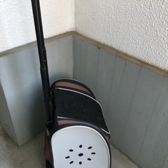 犬用グッズの画像