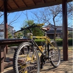 old mtb マウンテンバイク　の画像