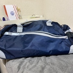 小旅行用　キャリーバック