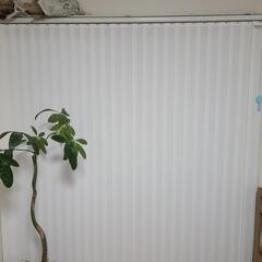 【決まりました 受渡待ち】バーチカルブラインド
