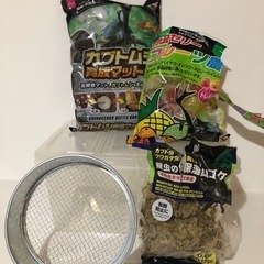 カブトムシグッズ