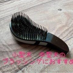 ペットブラシ⭐️ 