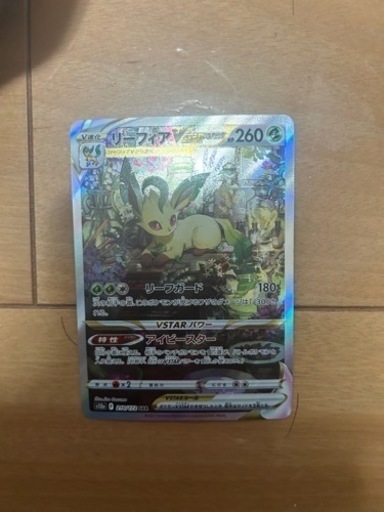 リーフィアVS ter