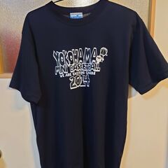 ミニバス練習着（Lサイズ）