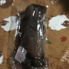 にぎってカワウソの画像