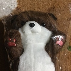 にぎってカワウソの画像