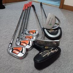 cobra : アイアンクラブ&パター全部で￥10000