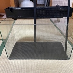 60センチ　オールガラス水槽＋上部フィルター