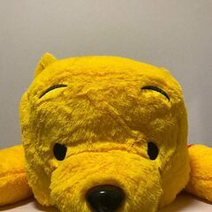 プーさん！家の近場まで来てくださる方の画像