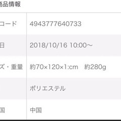 イーブイブランケット　高松でも取引可の画像