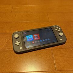 任天堂 Nintendo Switch Lite スイッチライト グレー ＆ ケース 物々交換OKの画像