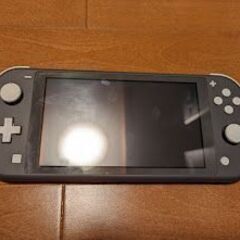 任天堂 Nintendo Switch Lite スイッチライト グレー ＆ ケース 物々交換OKの画像