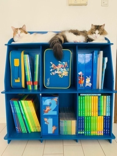 ディズニー英語システム Disney’s WORLD OF ENGLISH