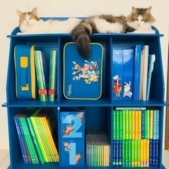 ディズニー英語システム Disney's WORLD OF ENGLISH