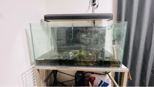 水槽セット