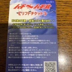 ハチ北平日券