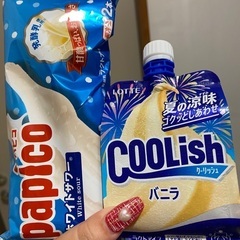 アイス パピコ クーリッシュ セット 未開封