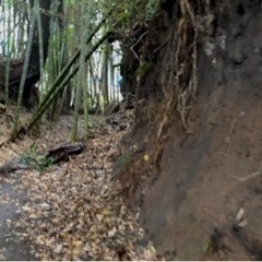 神奈川県藤沢市高倉 ＃120 不動産0円物件 − 神奈川県