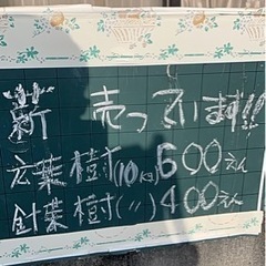 薪　１０kg 広葉樹　長さ35cm            キャンプ用の画像