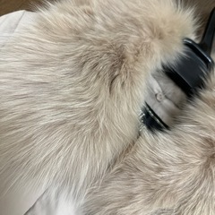 🤍美品　セシルマクビー　ダウンワンピの画像