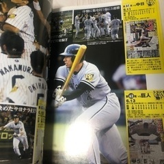 今年も優勝！サンケイスポーツ特別版「永久保存版さよなら星野阪神」の画像